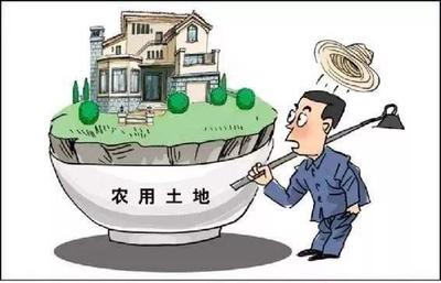 可以依照法律规定对土地实行