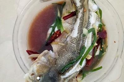 宝宝可以吃的鱼