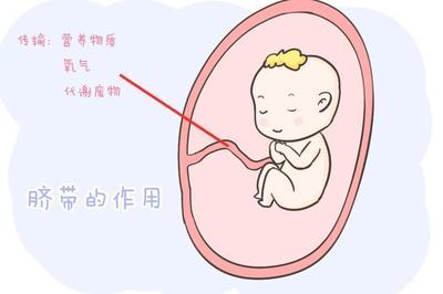 新生儿肚脐感染的症状