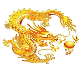 属龙的和属龙的相配吗