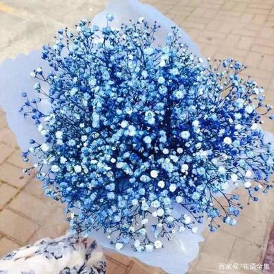 满天星花语和寓意