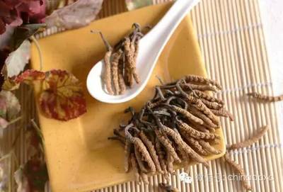 孕妇能吃鹿茸