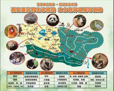 2019上海野生动物园攻略