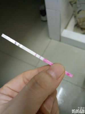 半个月长多少正常