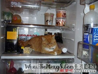 梦见家里冰箱坏了