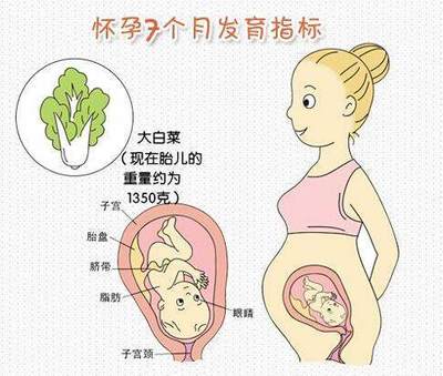 怀孕后两个月体重增加多少