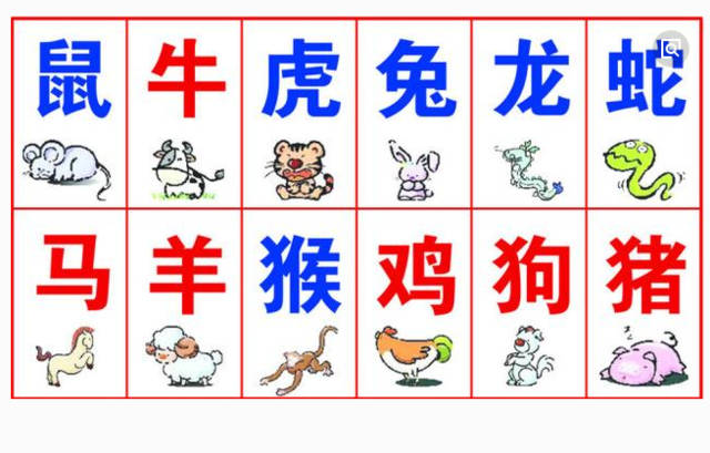 兔相克的生肖