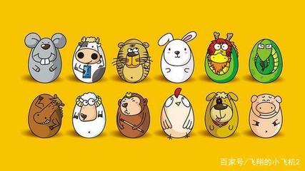 缺代表什么生肖