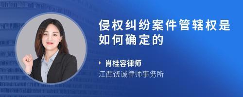 网络案件管辖权