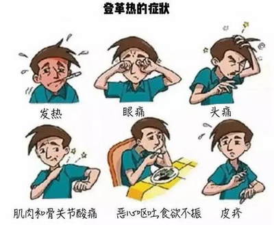 经常呕吐是怎么回事