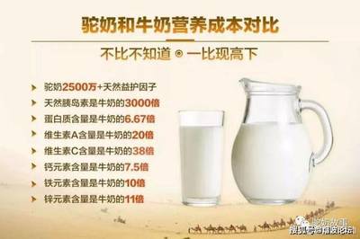怀孕能喝骆驼奶粉吗