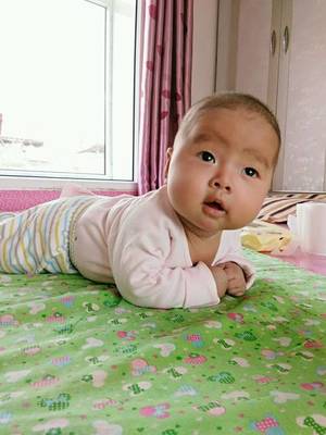 宝宝多久抬头