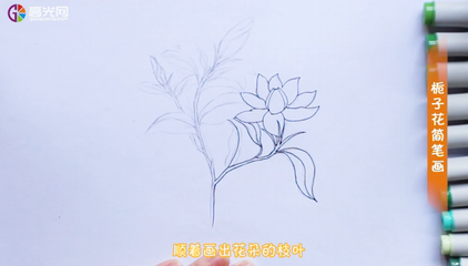 简单的栀子花怎么画