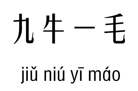 毛的五行