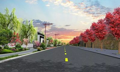校园道路设计