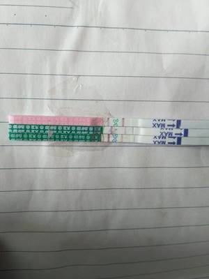 不是排卵期排卵试纸两条杠