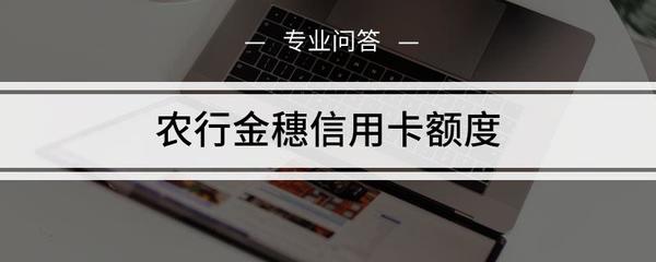 农行标准卡金卡额度是多少钱