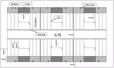 猪场总平面设计图 猪场平