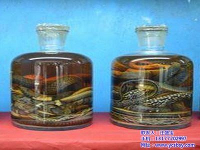 毛毛虫面包怎么制作方法