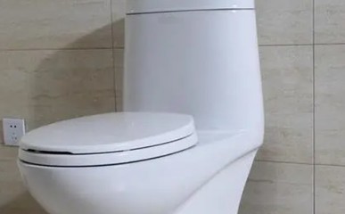 为什么马桶总是堵塞