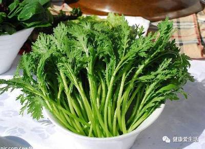 咳嗽可以吃茼蒿吗