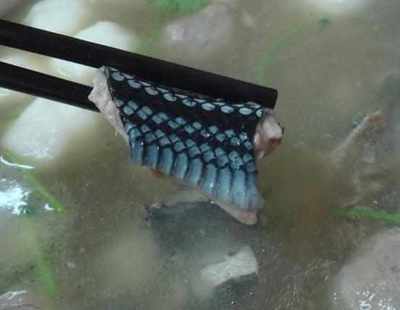 宝宝可以吃蛇肉吗