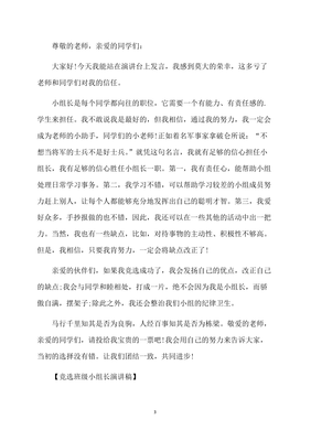 竞选小组长发言稿400