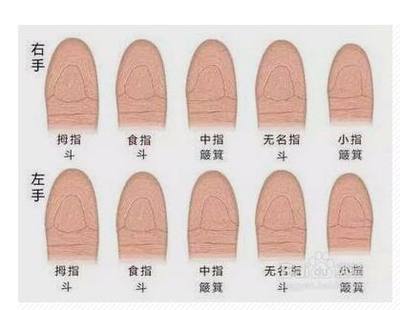 手指十个斗的男人命运