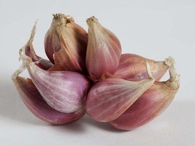 小干葱的制作方法