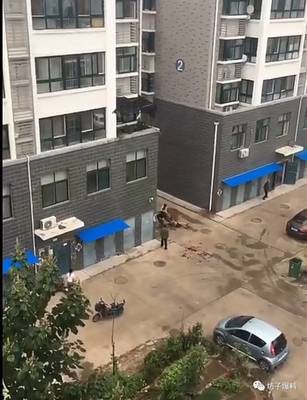 物业锁车合法吗