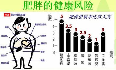 子宫的主要功能是什么