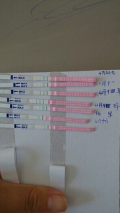 排卵期不是排卵日会怀孕吗
