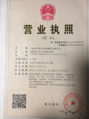 上海代办营业执照