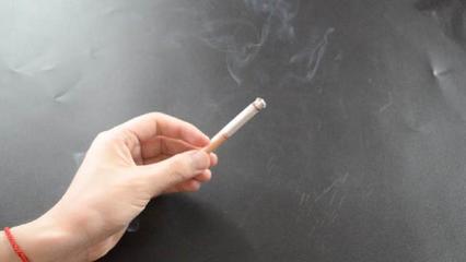 房间的烟味怎么去除