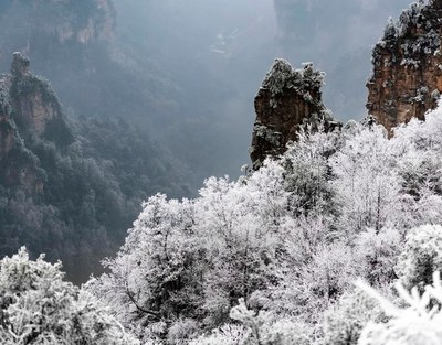 冬游张家界旅游攻略