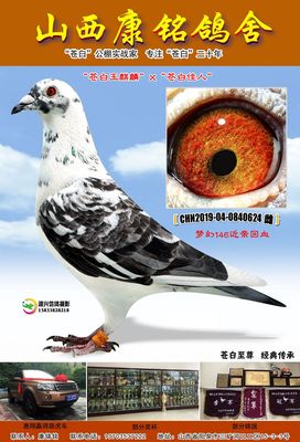 概念设计师
