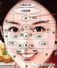 痘痘反射区