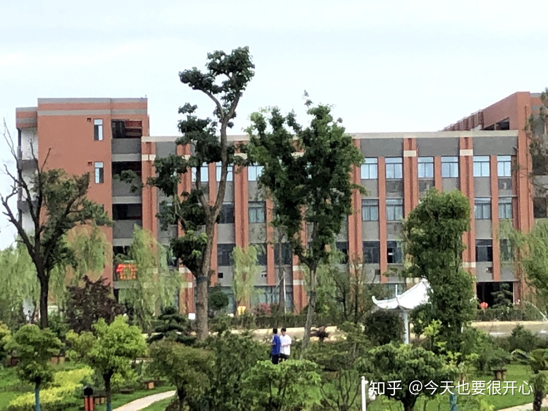 合肥衡安中学最新消息