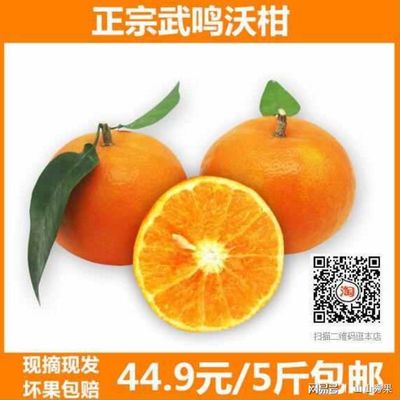 芦柑孕妇可以吃吗