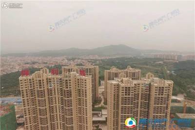 南沙二手楼盘