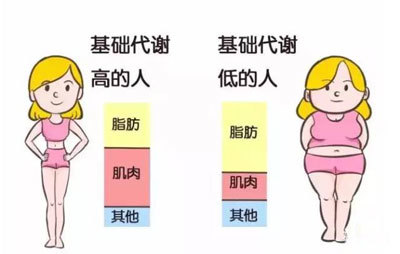 基数小怎么减肥