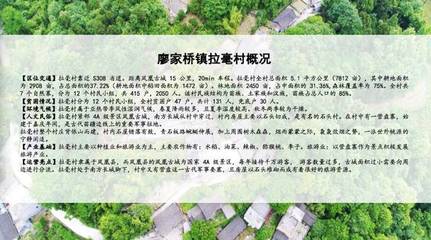 村的实体概况怎么写