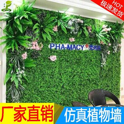 墙面塑料绿植图片大全