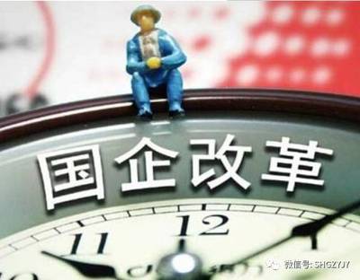 国企法人