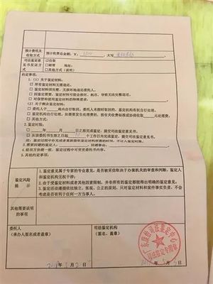 亲子鉴定结果样本
