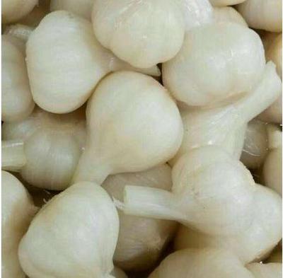 冰糖腌大蒜的制作方法