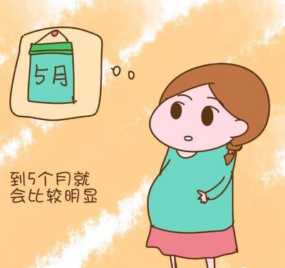 什么时候开始算怀孕