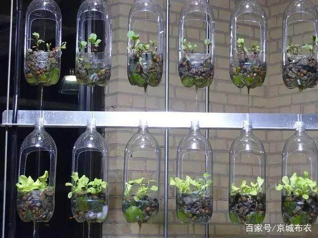 塑料瓶变废为宝制作过程