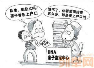 亲子鉴定要什么