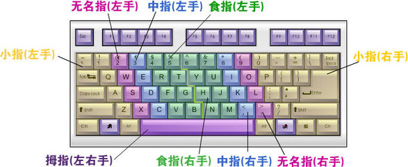 常用电脑手指